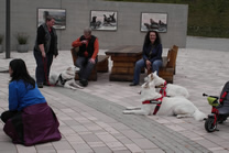 kleine Pause f&uuml;r alle